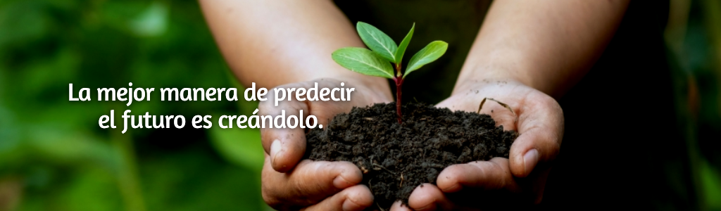 FRASES PÁGINA YANELA BARCELÓ