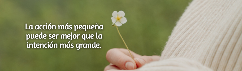 FRASES PÁGINA YANELA BARCELÓ