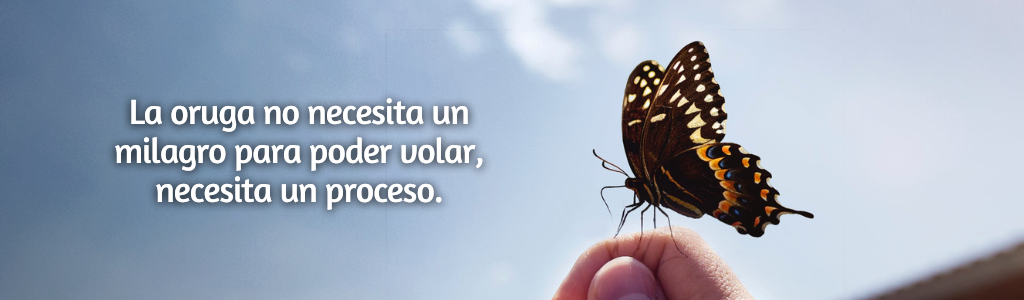 MARIPOSA 2