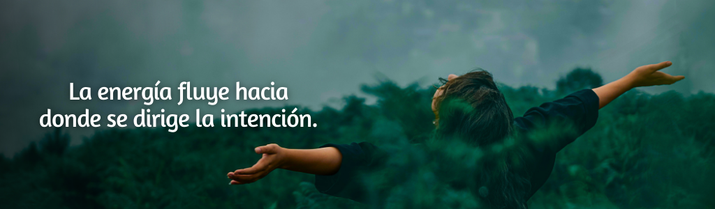 FRASES PÁGINA YANELA BARCELÓ (3)