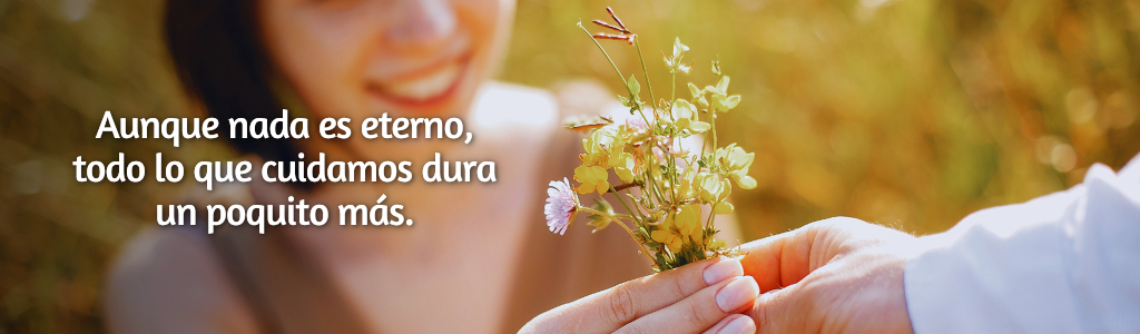 FRASES PÁGINA YANELA BARCELÓ (7)