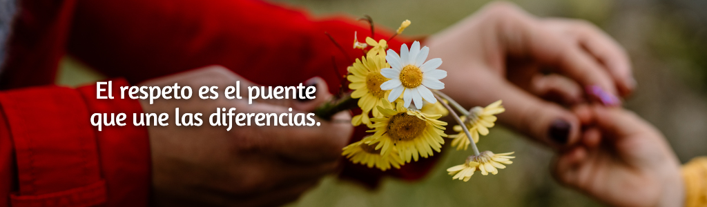 FRASES PÁGINA YANELA BARCELÓ (19)