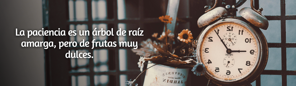 FRASES PÁGINA YANELA BARCELÓ (32)