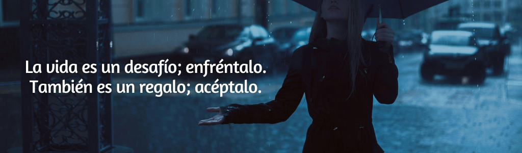 FRASES PÁGINA YANELA BARCELÓ (37)