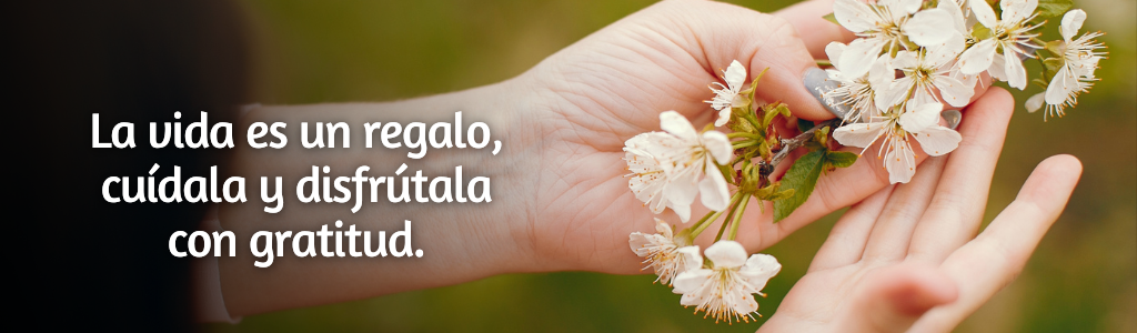 FRASES PÁGINA YANELA BARCELÓ (44)