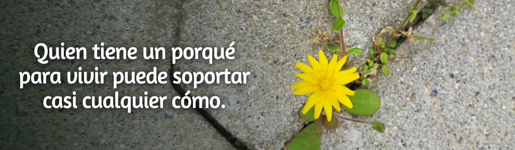 FRASES PÁGINA YANELA BARCELÓ (45)