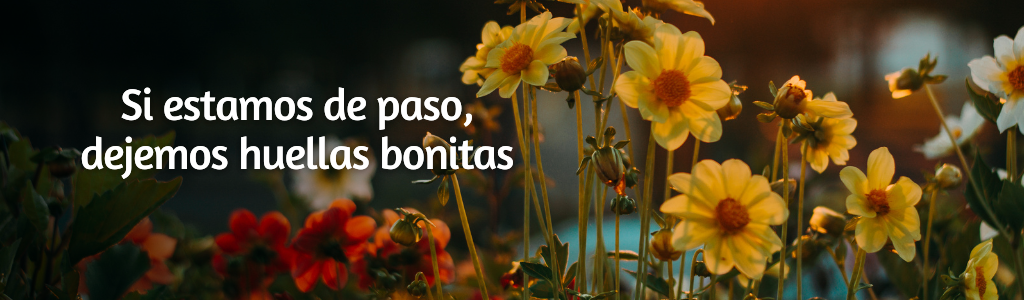 FRASES PÁGINA YANELA BARCELÓ (55)