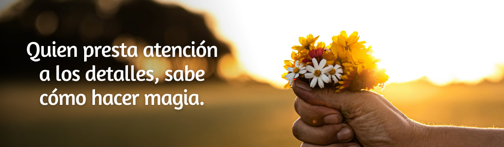FRASES PÁGINA YANELA BARCELÓ (60)