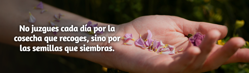 FRASES PÁGINA YANELA BARCELÓ (67)