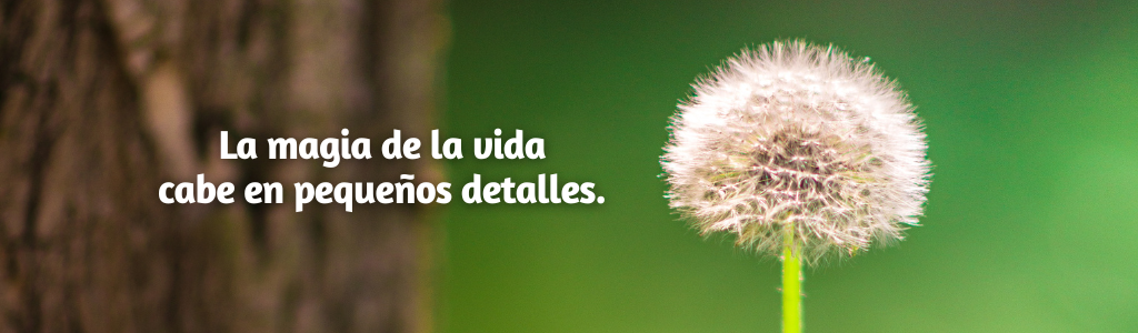 FRASES PÁGINA YANELA BARCELÓ (3)