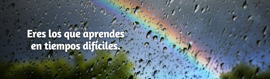 FRASES PÁGINA YANELA BARCELÓ (4)